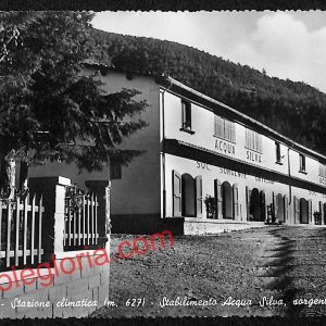 ah8672 - CARTOLINA D'EPOCA - Pistoia Provincia - Pracchia