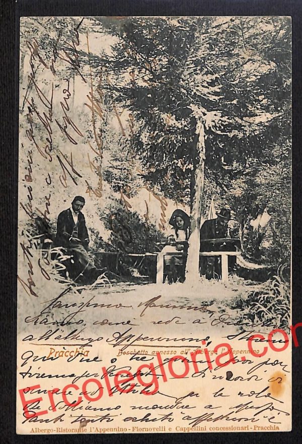 ah8692 - CARTOLINA D'EPOCA - Pistoia Provincia - Pracchia