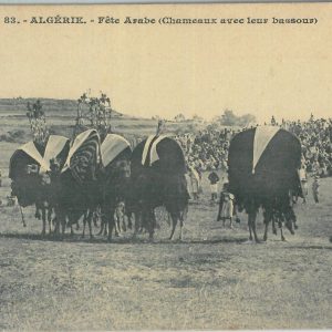 80099 - ALGERIA  Algérie -  Carte postal VINTAGE POSTCARD -  Fete Arabe