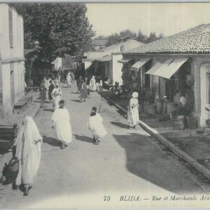 80104 - ALGERIA  Algérie -  Carte postal VINTAGE POSTCARD -  BLIDA