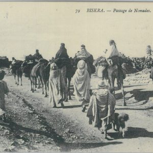 80114 - ALGERIA  Algérie -  Carte postal VINTAGE POSTCARD -  BISKRA