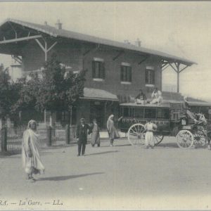 80115 - ALGERIA  Algérie -  Carte postal VINTAGE POSTCARD -  BISKRA Royal Hotel