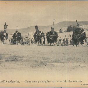 80127 - ALGERIA  Algérie -  Carte postal VINTAGE POSTCARD -  Bou Saâda
