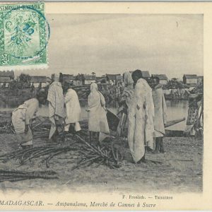 80165 -  MADAGASCAR -  Vintage Postcard - ETHNIC : Ampanalana  1906 SUGAR