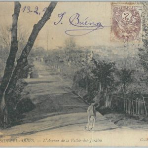 80245 - ALGERIA  Algérie - VINTAGE POSTCARD -   Sidi Bel Abbes  1909