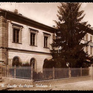 ab4235-  CARTOLINA  D'EPOCA CUNEO Provincia - Alba