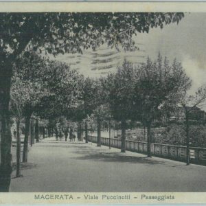 85528 - CARTOLINA d'Epoca: MACERATA città -  VIALE  PUCCINOTTI  1932
