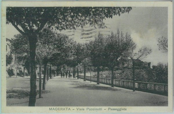85528 - CARTOLINA d'Epoca: MACERATA città -  VIALE  PUCCINOTTI  1932
