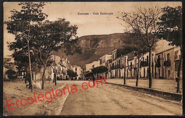 ah5107 - CARTOLINA D'EPOCA - Palermo Provincia - Corleone