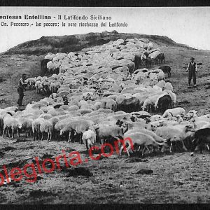 ah5109 - CARTOLINA D'EPOCA - Palermo Provincia - Contessa Entellina