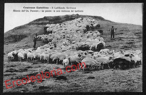 ah5109 - CARTOLINA D'EPOCA - Palermo Provincia - Contessa Entellina