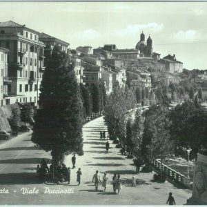 85558 - CARTOLINA d'Epoca: MACERATA città -  VIALE  PUCCINOTTI  1959