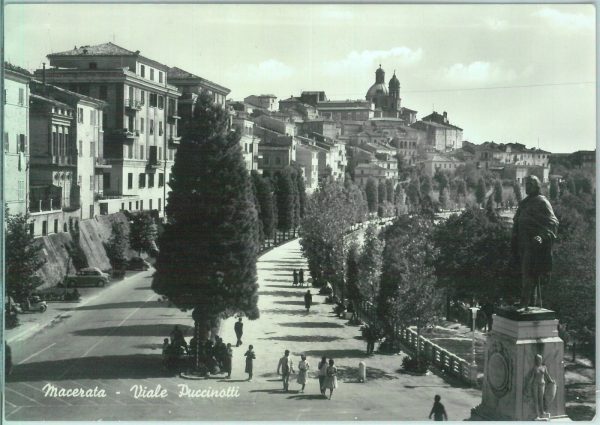 85558 - CARTOLINA d'Epoca: MACERATA città -  VIALE  PUCCINOTTI  1959