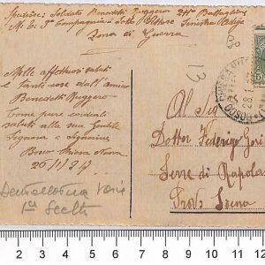 P0815 - ITALIA Regno - Storia Postale - Sass  81nb LEONI - VARIETA' su cartolina