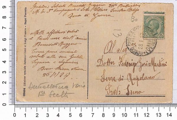 P0815 - ITALIA Regno - Storia Postale - Sass  81nb LEONI - VARIETA' su cartolina