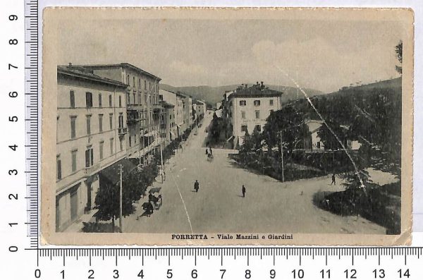P0815 - ITALIA Regno - Storia Postale - Sass  81nb LEONI - VARIETA' su cartolina - immagine 2
