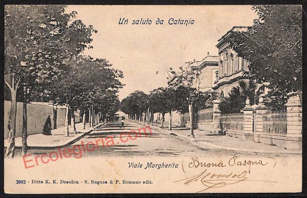 ae4678 - CARTOLINA D'EPOCA - Catania Città - Viale Margherita