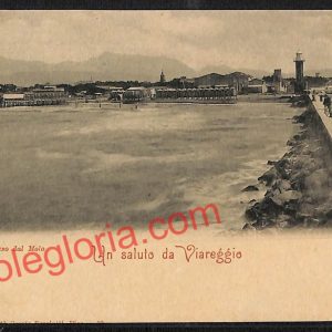 ag6809 - CARTOLINA D'EPOCA - Lucca Provincia - Viareggio