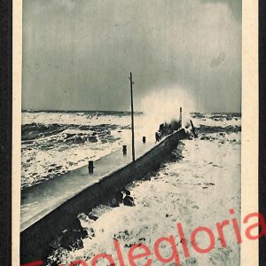 ag6810 - CARTOLINA D'EPOCA - Lucca Provincia - Viareggio