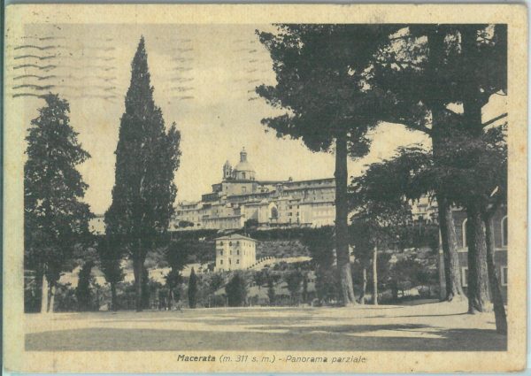 85562 - CARTOLINA d'Epoca: MACERATA città -  PANORAMA