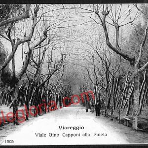 ag6816 - CARTOLINA D'EPOCA - Lucca Provincia - Viareggio  1922