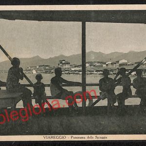 ag6821 - CARTOLINA D'EPOCA - Lucca Provincia - Viareggio