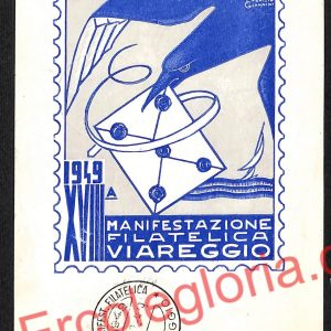 ag6833 - CARTOLINA D'EPOCA - Lucca Provincia - Viareggio