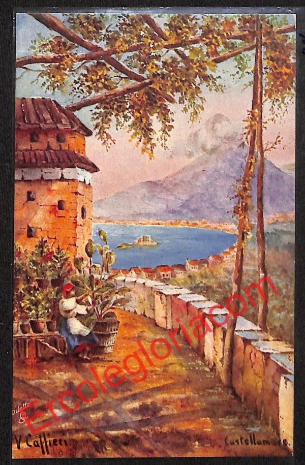 ah3611 - CARTOLINA D'EPOCA - Napoli Città - Castello Mare