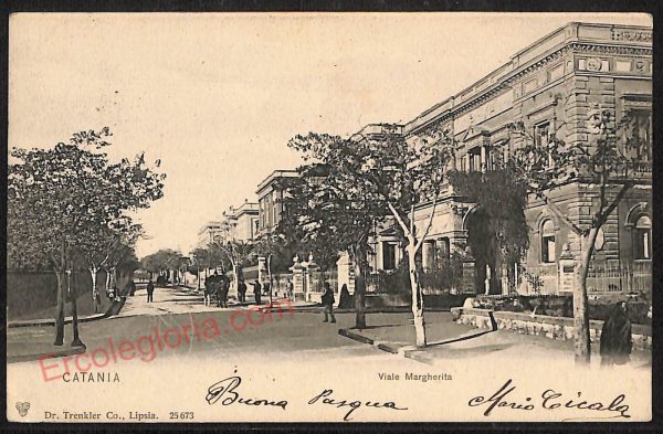 ae4757 - CARTOLINA D'EPOCA - Catania Città - Viale Margherita