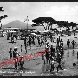 ag5669 - CARTOLINA D'EPOCA - La Spezia Provincia - Sarzana