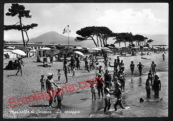 ag5669 - CARTOLINA D'EPOCA - La Spezia Provincia - Sarzana