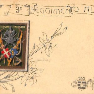 ac6944 - CARTOLINA D'EPOCA - REGGIMENTALI  -  Alpini