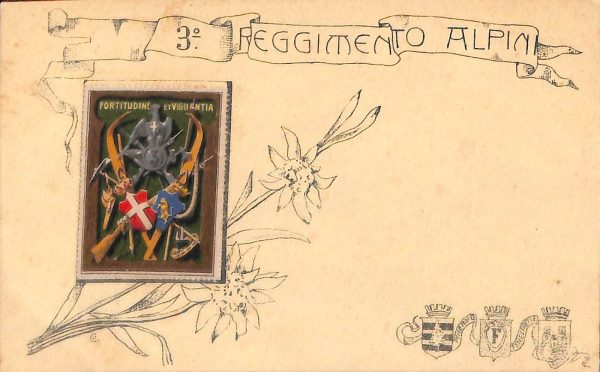 ac6944 - CARTOLINA D'EPOCA - REGGIMENTALI  -  Alpini