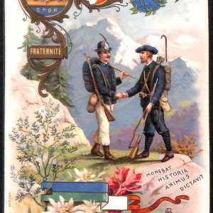 ac6982 - CARTOLINA D'EPOCA - REGGIMENTALI  - Alpini