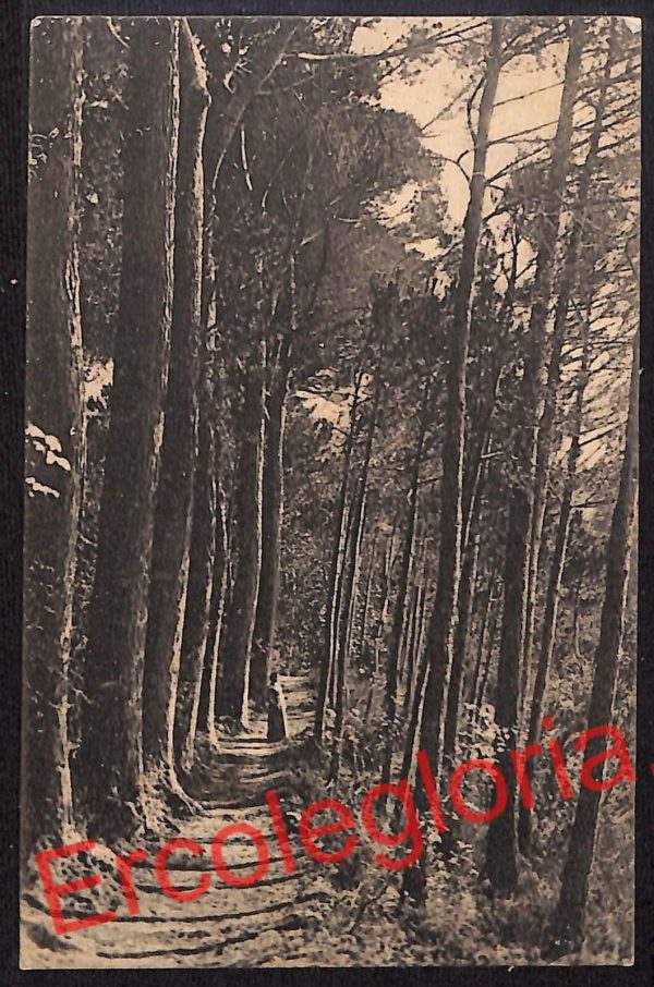 ah5114 - CARTOLINA D'EPOCA - Palermo Provincia - Gibilmanna