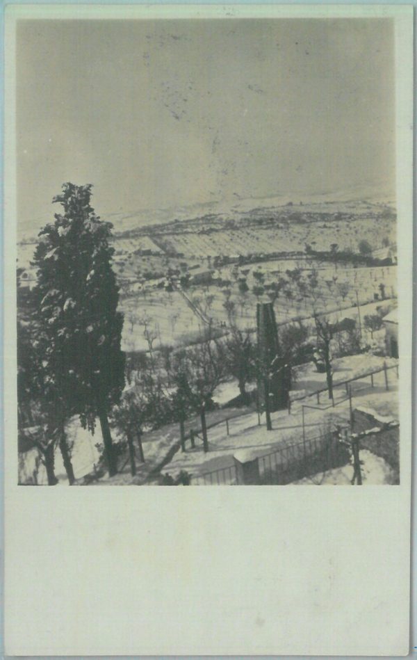 85551 - CARTOLINA d'Epoca: MACERATA città - PANORAMA fotografica! Vera foto 1929