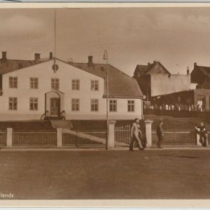 53143 -  VINTAGE POSTCARD - ICELAND Ísland