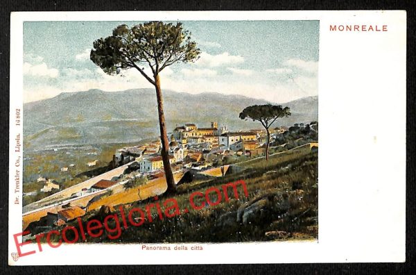 ah5134 - CARTOLINA D'EPOCA - Palermo Provincia - Monreale