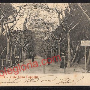 ag6827 - CARTOLINA D'EPOCA - Lucca Provincia - Viareggio