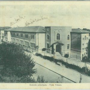 85574  - CARTOLINA d'Epoca: MACERATA città -  VIALE TRIESTE