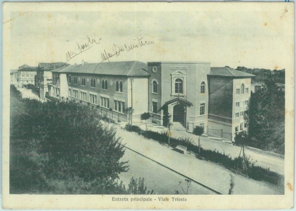 85574  - CARTOLINA d'Epoca: MACERATA città -  VIALE TRIESTE
