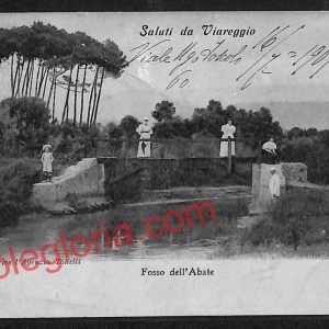 ag6859 - CARTOLINA D'EPOCA - Lucca Provincia - Viareggio