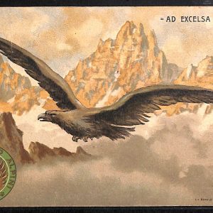 ac6870 - CARTOLINA D'EPOCA - REGGIMENTALI  -  Alpini  1906