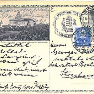 16139 - HUNGARY - POSTAL HISTORY - PICTURE Stationery CARD 1921  BIRDS  EAGLES