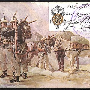 ac6875 - CARTOLINA D'EPOCA - REGGIMENTALI  - Alpini   1903