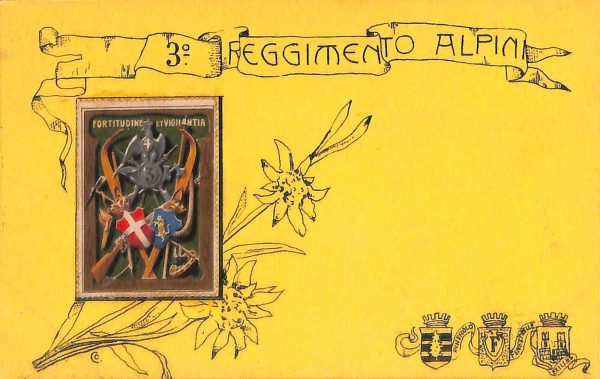 ac6903 - CARTOLINA D'EPOCA - REGGIMENTALI  - Alpini