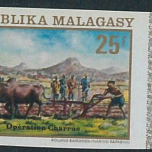 57865a -  MADAGASCAR -  single  stamp  - IMPERF !  Gastronomy AGRICOLTURE