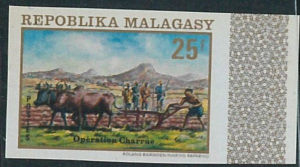 57865a -  MADAGASCAR -  single  stamp  - IMPERF !  Gastronomy AGRICOLTURE