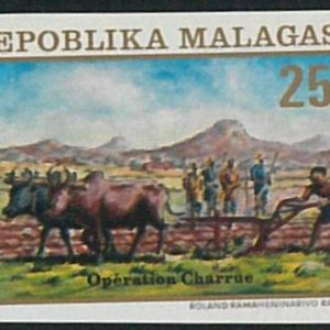 57865b -  MADAGASCAR -  single  stamp  - IMPERF !  Gastronomy AGRICOLTURE