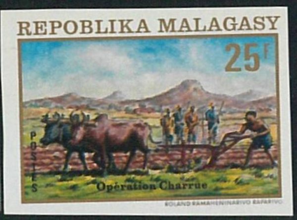 57865b -  MADAGASCAR -  single  stamp  - IMPERF !  Gastronomy AGRICOLTURE